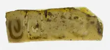 Fragment of a Plate, 1st century BCE-1st century CE. Creator: Unknown