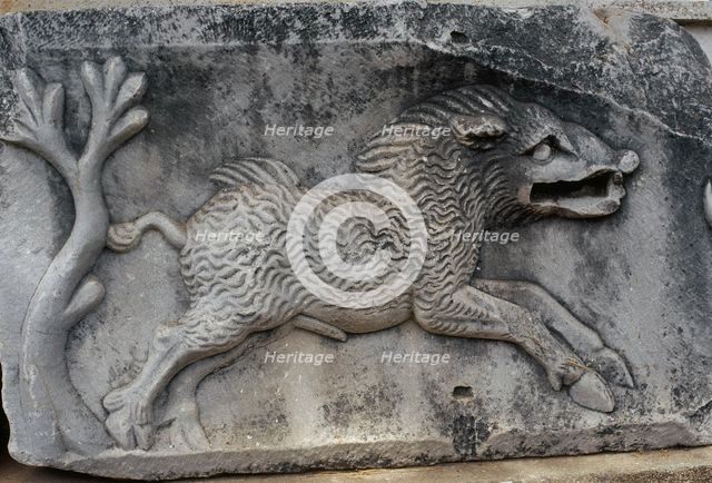 Fragment of a Roman relief with depiction of a wild boar, Museum of Miletus, Turkey, 1999.  Creator: LTL.