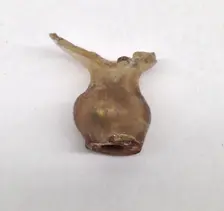 Fragment of Flask Necks, French or German and Syrian, 13th century. Creator: Unknown