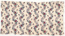 Fragment of Shawl, late 19th century - early 20th century. Creator: Unknown