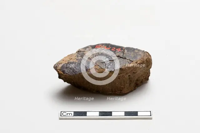 Fragment with lacquer on one surface, Warring States period, 475-221 BCE. Creator: Unknown.