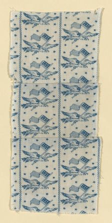 Fragment, United States, 1876. Creator: Unknown