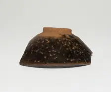 Fragmentary Bowl, Song dynasty (960-1279), 12th/13th century. Creator: Unknown