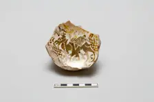 Fragmentary base of a bowl with image of a camel, early 13th century. Creator: Unknown