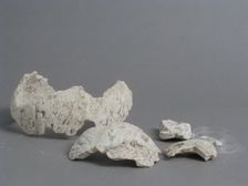 Fragments of a Male Head, Coptic, 4th-7th century. Creator: Unknown