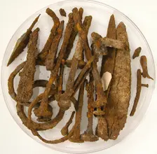 Fragments, Coptic, 4th-7th century. Creator: Unknown