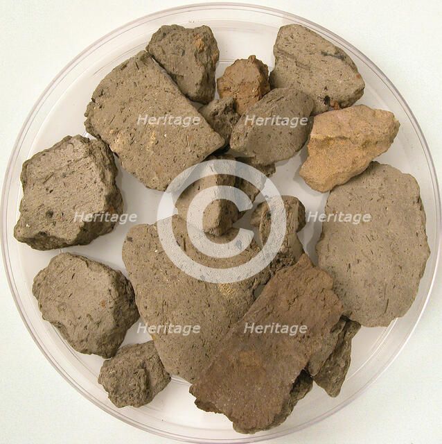 Fragments, Coptic, 4th-7th century. Creator: Unknown.