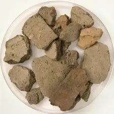 Fragments, Coptic, 4th-7th century. Creator: Unknown