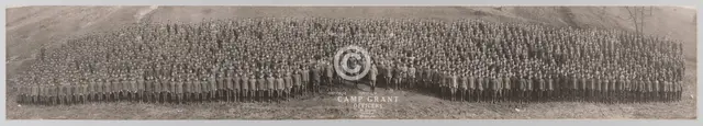 Framed panoramic photograph of Camp Grant officers, November 7, 1917. Creator: Unknown.
