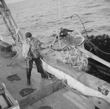 Franasco Parisi, youngest member of the Alden's crew, motioning for the skipper to hoist.., 1943. Creator: Gordon Parks
