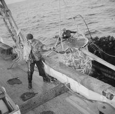Franasco Parisi, youngest member of the Alden's crew, motioning for the skipper to hoist.., 1943. Creator: Gordon Parks