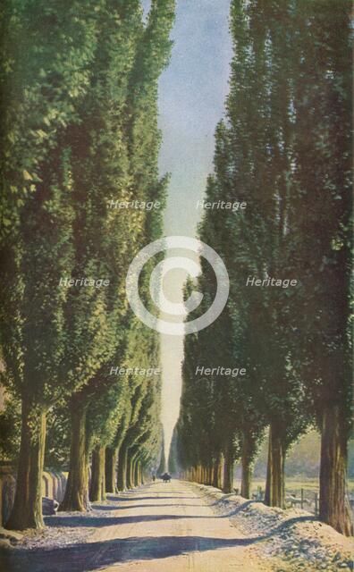 'France', c1930s. Artist: Unknown.