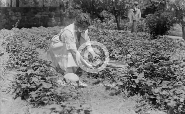Frances Alda, between c1915 and c1920. Creator: Bain News Service.