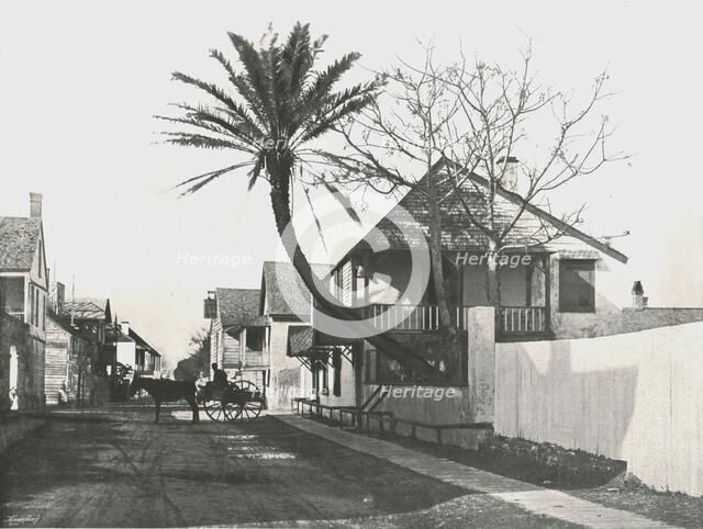 Francis Street, St Augustine, USA, 1895.  Creator: Unknown.