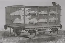 Franco-Prussian War (1870-1871): Casualty transport wagon, 1871. Creator: Unknown