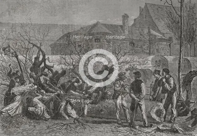 Franco-Prussian War (1870-1871): The besieged cutting down trees round Paris for firewood, 1871.  Creator: Auguste Trichon.