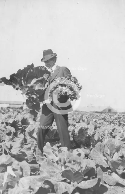 Frank G. Carpenter on Mr. Rickert's farm, between c1900 and 1916. Creator: Unknown.