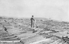 Frank G. Carpenter on woodpile, between c1900 and 1916. Creator: Unknown
