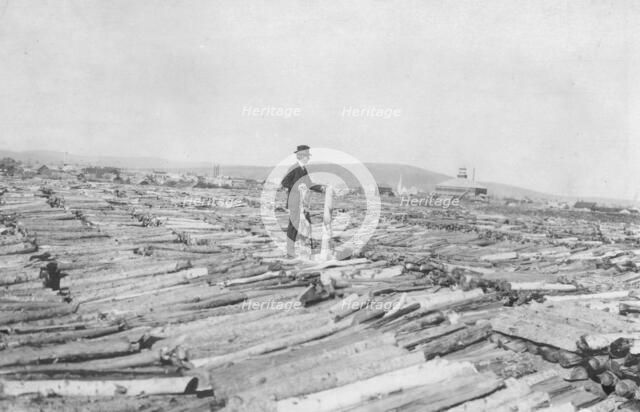 Frank G. Carpenter on woodpile, between c1900 and 1916. Creator: Unknown.