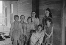 Frank Tengle family, Hale County, Alabama. Sharecroppers, 1936. Creator: Walker Evans