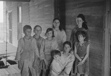 Frank Tengle family, Hale County, Alabama. Sharecroppers, 1936. Creator: Walker Evans