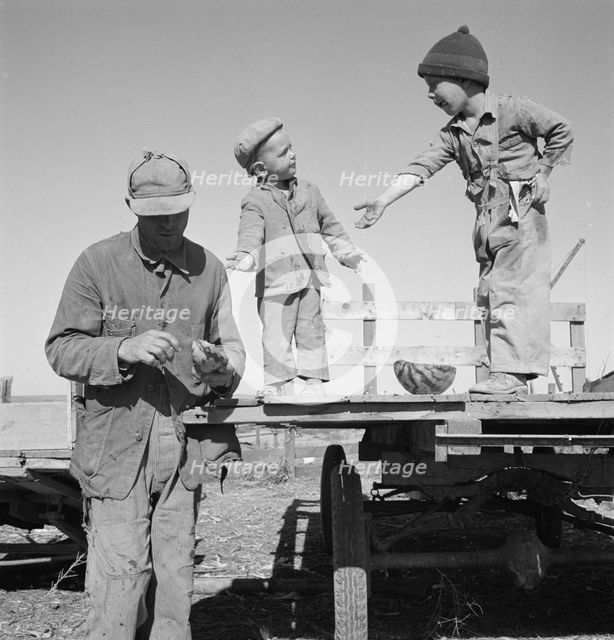 Franklin Schroeder and his older boys in the yard, Dead Ox Flat, Malheur County, Oregon, 1939. Creator: Dorothea Lange.