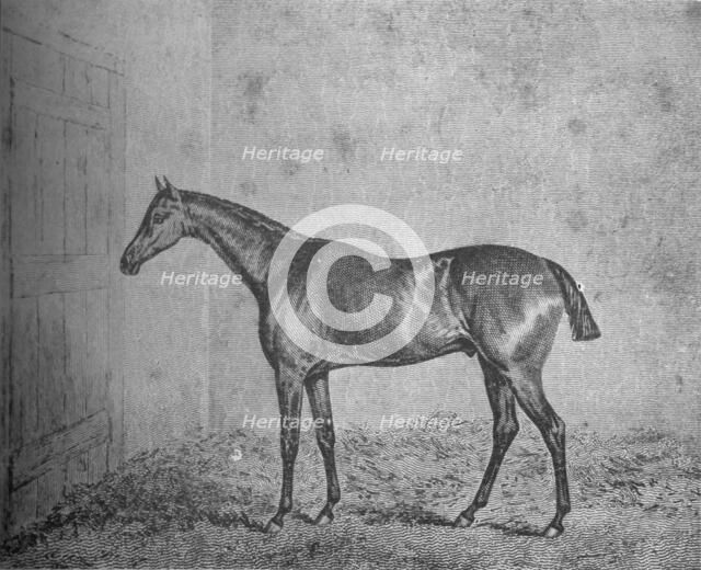 'Frederick', 1826-1837, (1911). Artist: Unknown.