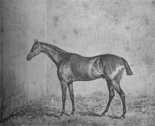 Frederick 1826-1837, (1911)