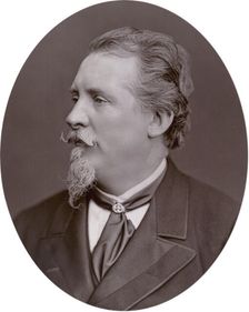 Frederick Goodall, painter, 1878. Creator: Lock & Whitfield