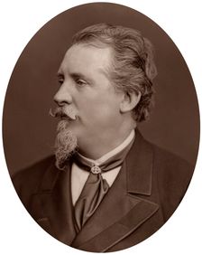 Frederick Goodall, painter, 1878.Artist: Lock & Whitfield