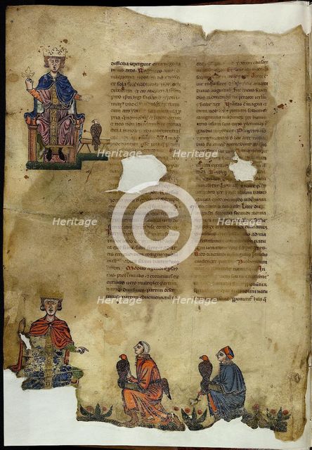 Frederick II. De Arte Venandi cum Avibus (On The Art of Hunting with Birds). Artist: Anonymous  