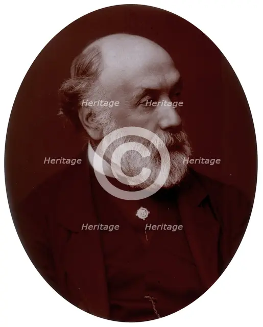 Frederick Richard Pickersgill, artist and Royal Academician, 1882. Creator: Lock & Whitfield.