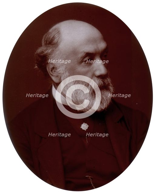 Frederick Richard Pickersgill, artist and Royal Academician, 1882. Creator: Lock & Whitfield.