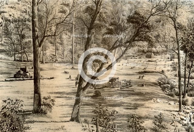 Free selector's hut, Australia, 1879. Artist: McFarlane and Erskine
