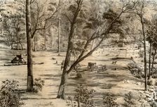 Free selector's hut, Australia, 1879. Artist: McFarlane and Erskine