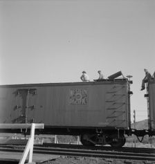 Freight moving east near Odessa, Texas, 1937. Creator: Dorothea Lange