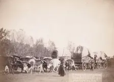 Freighting in the Black Hills, between 1887 and 1892. Creator: John C. H. Grabill
