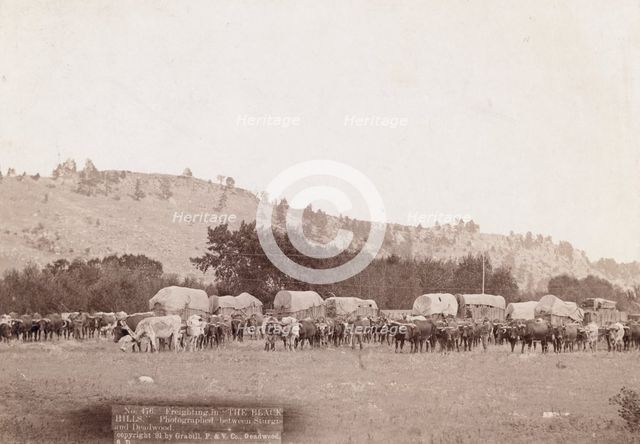 Freighting in "The Black Hills" Photographed between Sturgis and Deadwood, 1891. Creator: John C. H. Grabill.