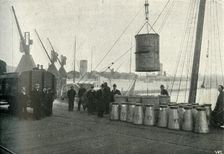 French Milk Being Landed at Southampton 1902. Creator: Unknown