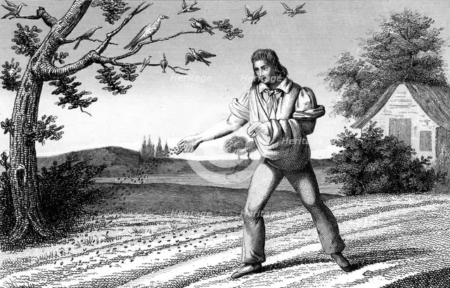 French agriculture; sowing seed broadcast, late 18th century. Artist: Unknown