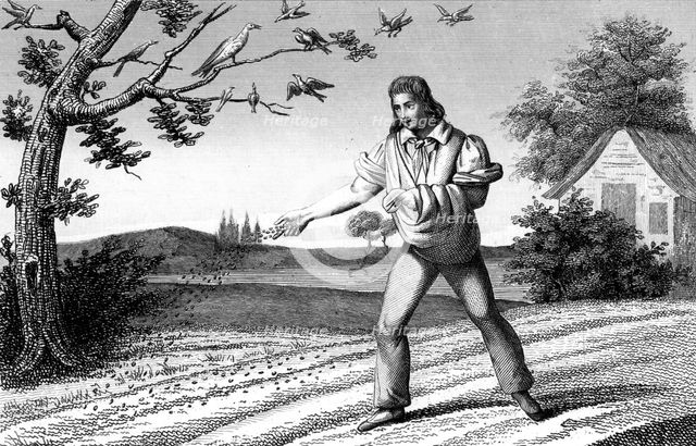 French agriculture; sowing seed broadcast, late 18th century. Artist: Unknown