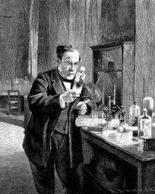 French chemist and microbiologist Louis Pasteur (1822–1895). Artist: Anonymous