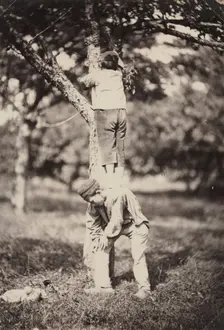 French Country Study: Two Boys Climbing a Tree, late 1870's. Creator: Auguste Giraudon's Artist (French)