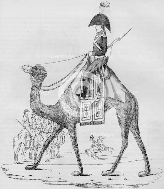 French Domedary Regiment. Captured with a Convoy in the Lybian Desert, May, 1801, (1884). Artist: Unknown