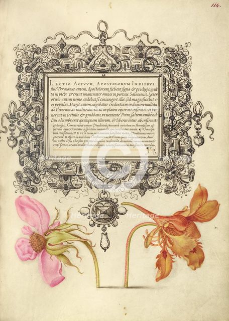 French Rose and Dwarf Nasturtium, 1561-1562; illumination added 1591-1596. Creator: Joris Hoefnagel.