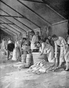 French sailors in a camp in Moudros, Lemnos, Greece, 1915