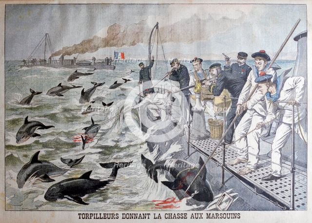 French torpedo boat's hunting porpoises, 1903. Artist: Unknown