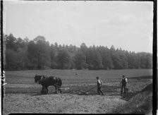 Frensham, Waverley, Surrey, 1909. Creator: Katherine Jean Macfee