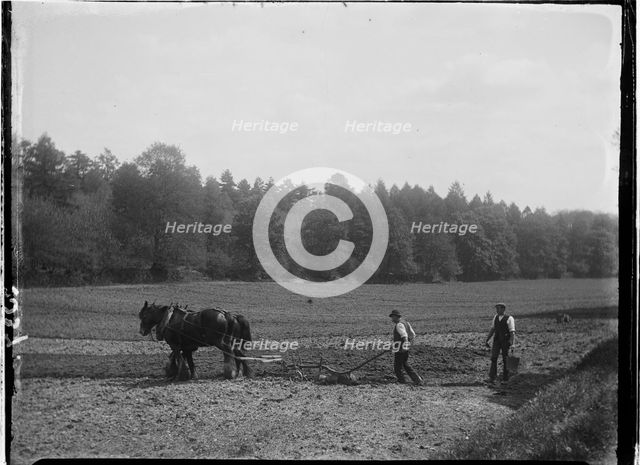 Frensham, Waverley, Surrey, 1909. Creator: Katherine Jean Macfee.