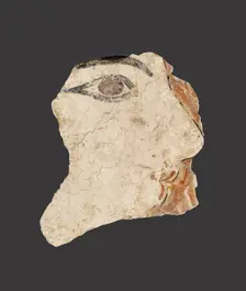 Fresco fragment, Late Minoan I Period, c1700-c1450BC